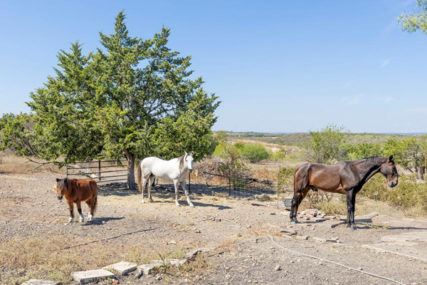 Client testimonial link